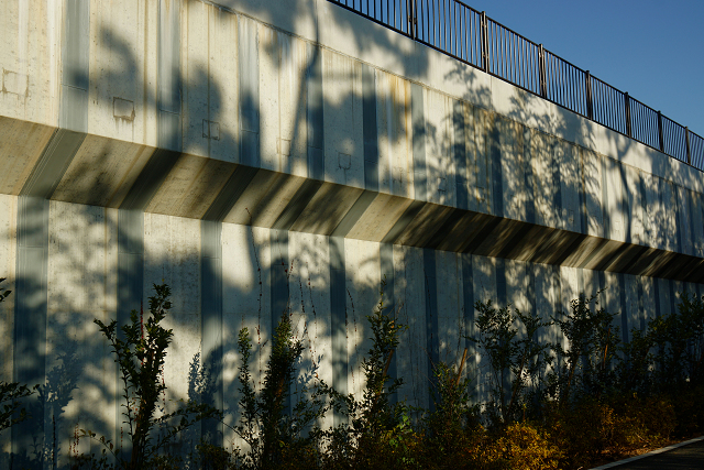 b0116973_16435074.jpg