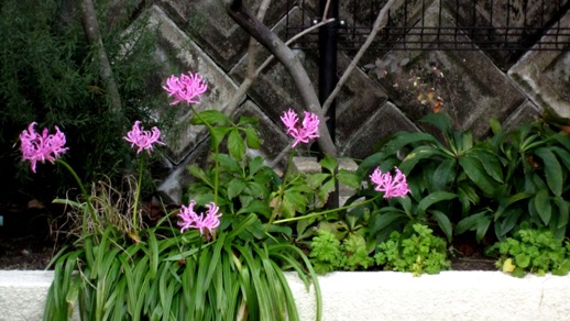 b0214473_1127249.jpg