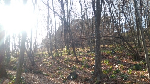 c0064678_215929.jpg