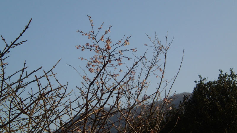 e0024081_20203059.jpg
