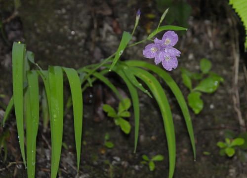 d0321585_18501023.jpg