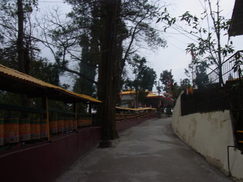 a0207588_20131339.jpg