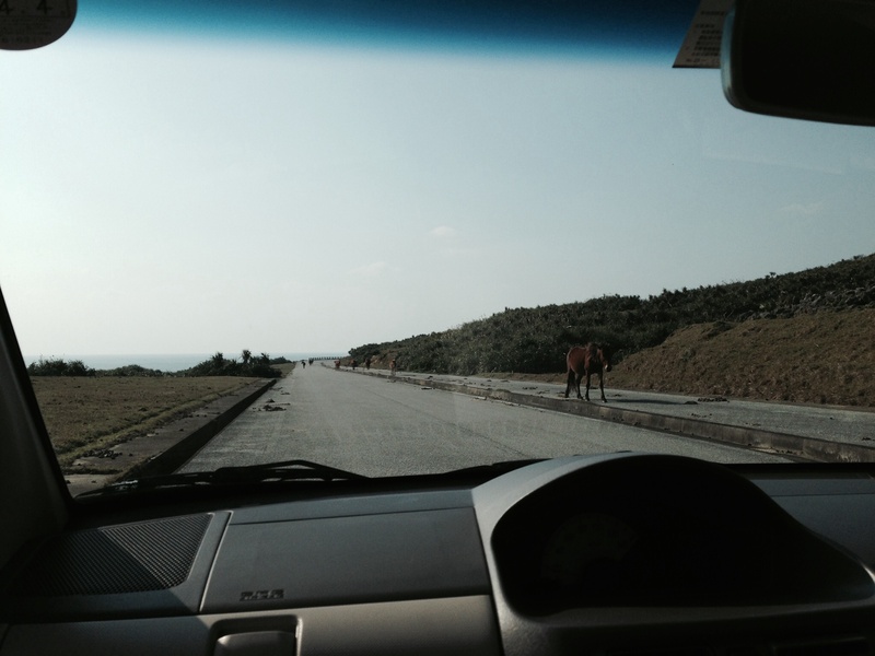 f0244291_18261014.jpg