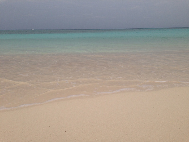 f0244291_2235534.jpg