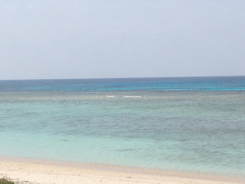 f0244291_2324859.jpg