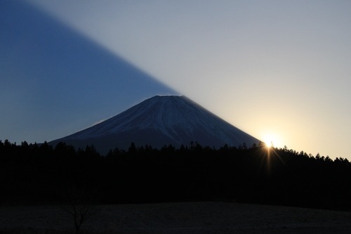 寒中お見舞い申し上げます！_e0086798_1449359.jpg