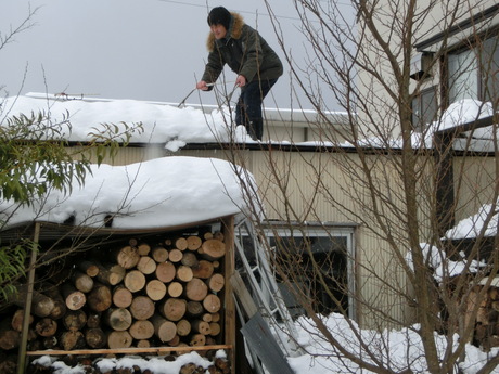 除雪助っ人たち_a0203003_17185980.jpg