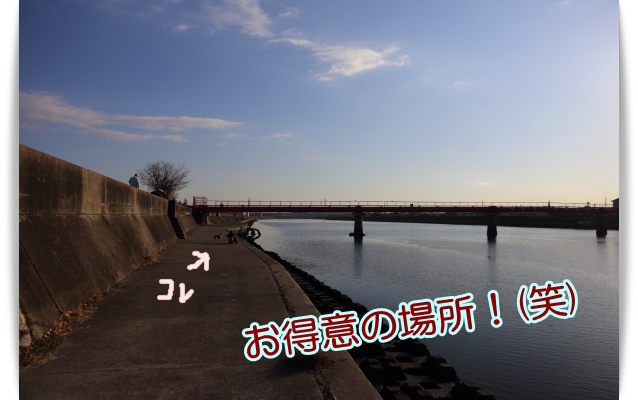 e0100007_12151847.jpg