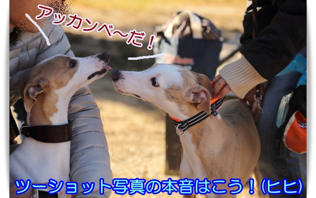 e0100007_12575831.jpg