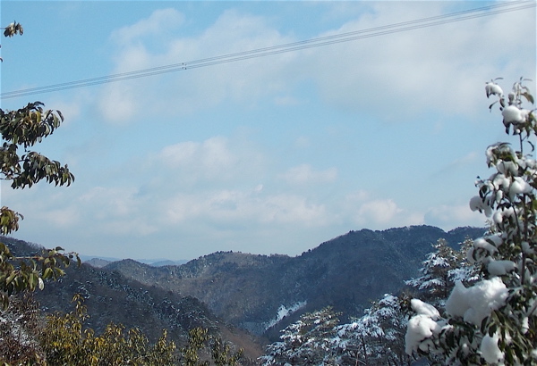 a0164011_11421964.jpg