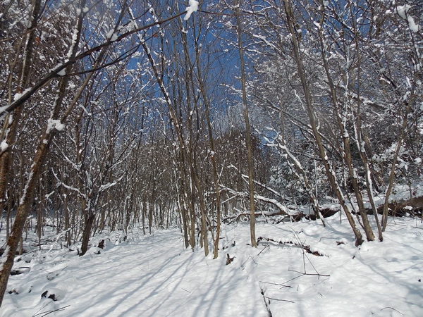 a0164011_1142457.jpg