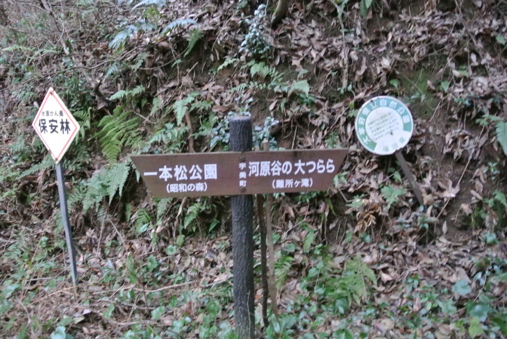 b0291016_18183785.jpg
