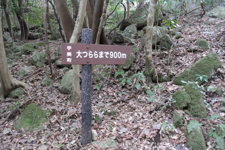 b0291016_18191597.jpg