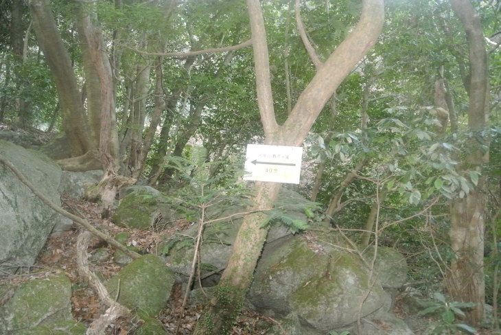 b0291016_18192647.jpg