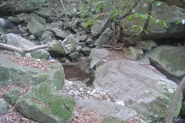 b0291016_18202716.jpg