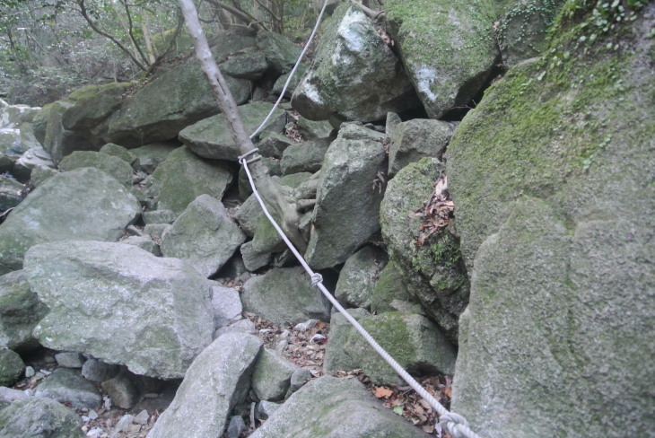 b0291016_18203618.jpg