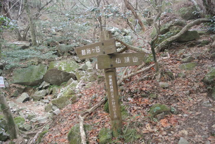 b0291016_21071145.jpg
