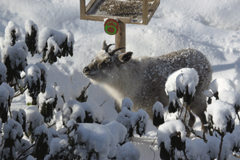 f0232920_15525013.gif