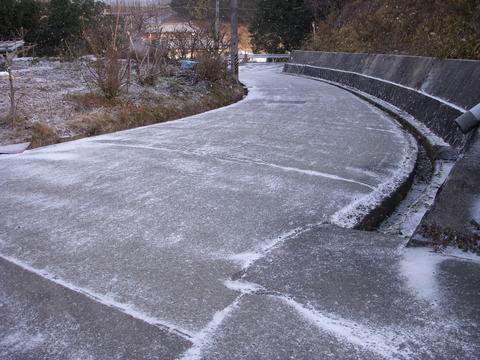 f0260120_8533689.jpg