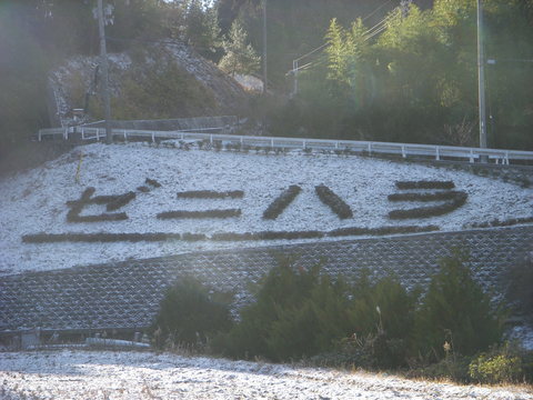 f0260120_9521057.jpg