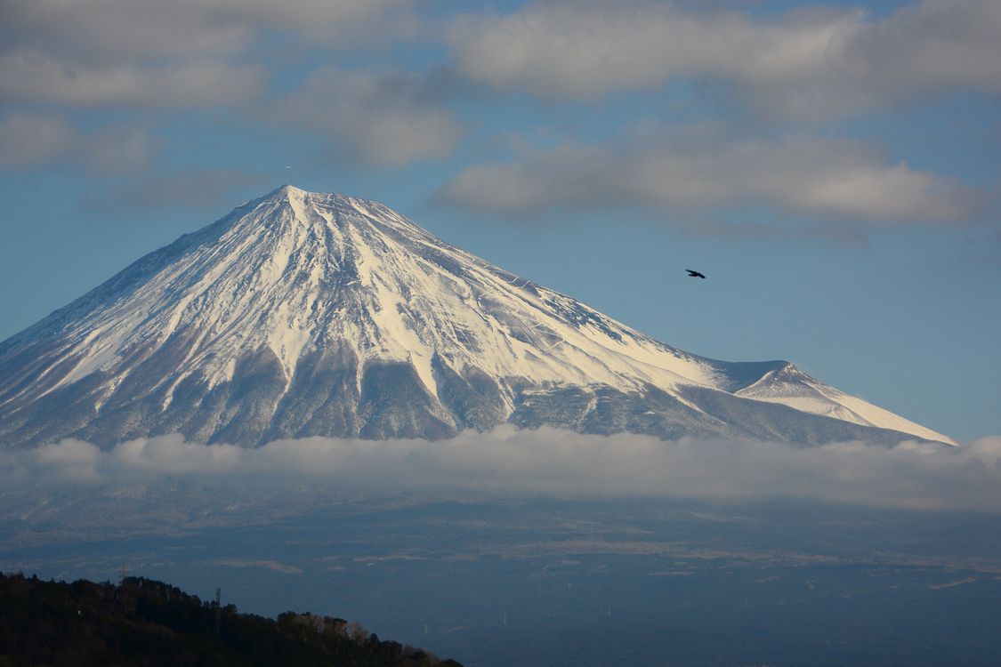 富士山を撮る・・・東名高速・富士川ＳＡ_a0031821_14441735.jpg