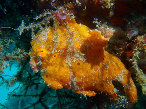 c0115421_206197.jpg