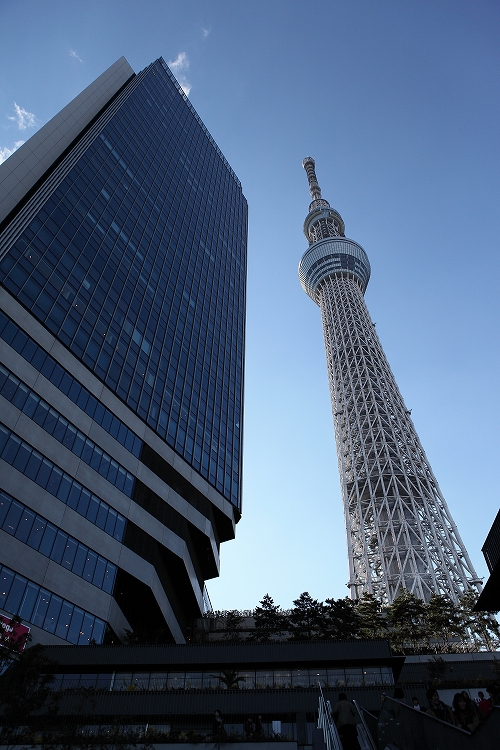 東京スカイツリー　（X\'masの頃撮影）_e0303527_93159.jpg