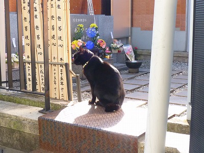 お墓参りからダークゾーンとの戦いの場へ・・・_b0166128_10371592.jpg