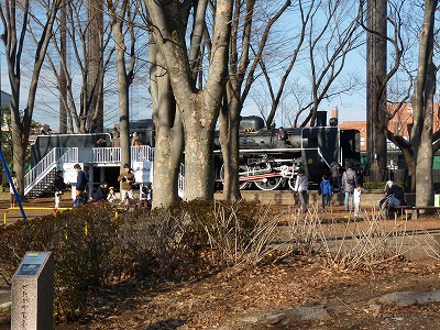 お墓参りからダークゾーンとの戦いの場へ・・・_b0166128_11162323.jpg