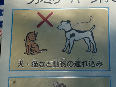 お墓参りからダークゾーンとの戦いの場へ・・・_b0166128_1118464.jpg