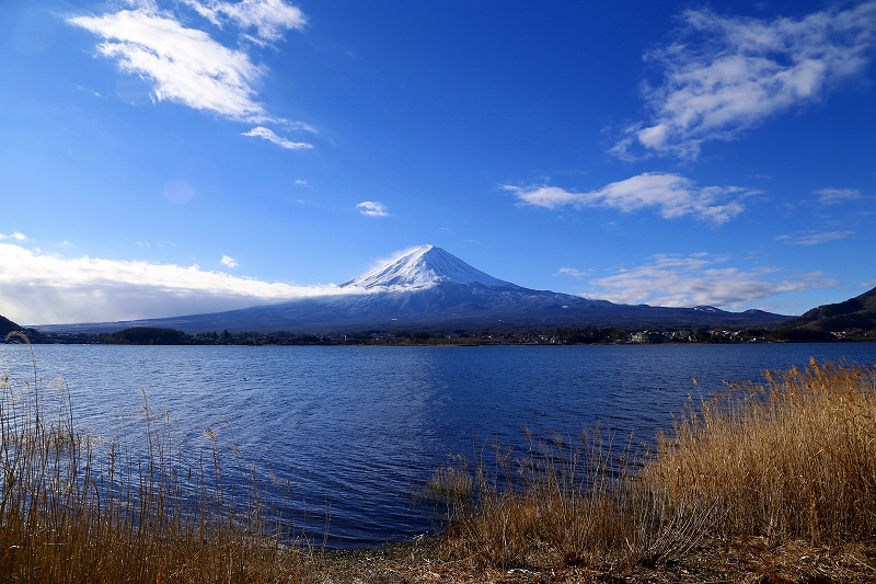 f0229832_1064956.jpg