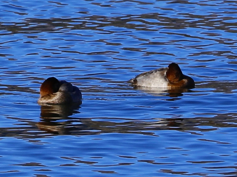 f0229832_9471289.jpg
