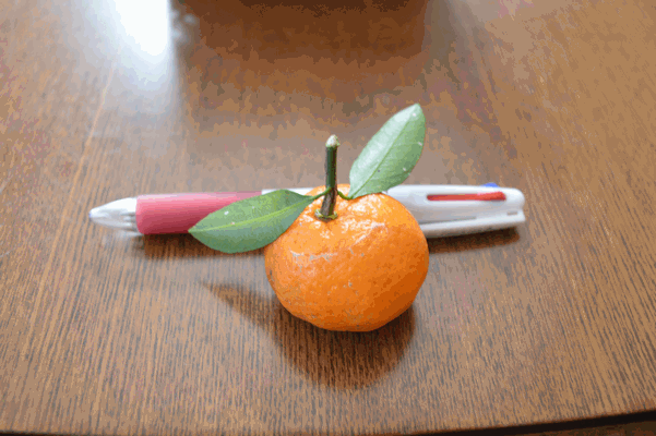 c0136736_22375597.gif