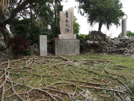 普天間基地（嘉数高台公園）_d0024438_15431456.jpg