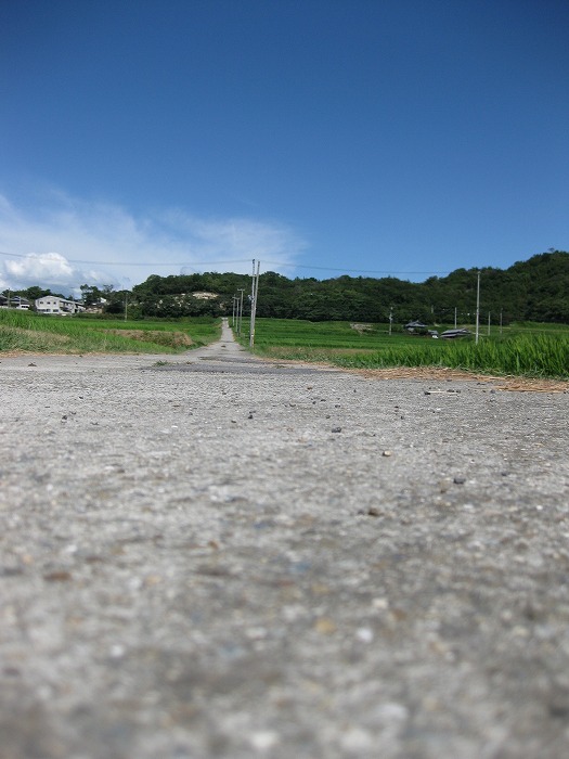 この島の‘音’に耳を澄ませば・・・「島音坐」_b0168041_124614100.jpg