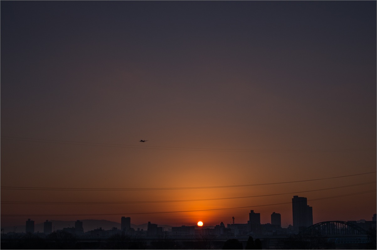 d0058445_17205236.jpg
