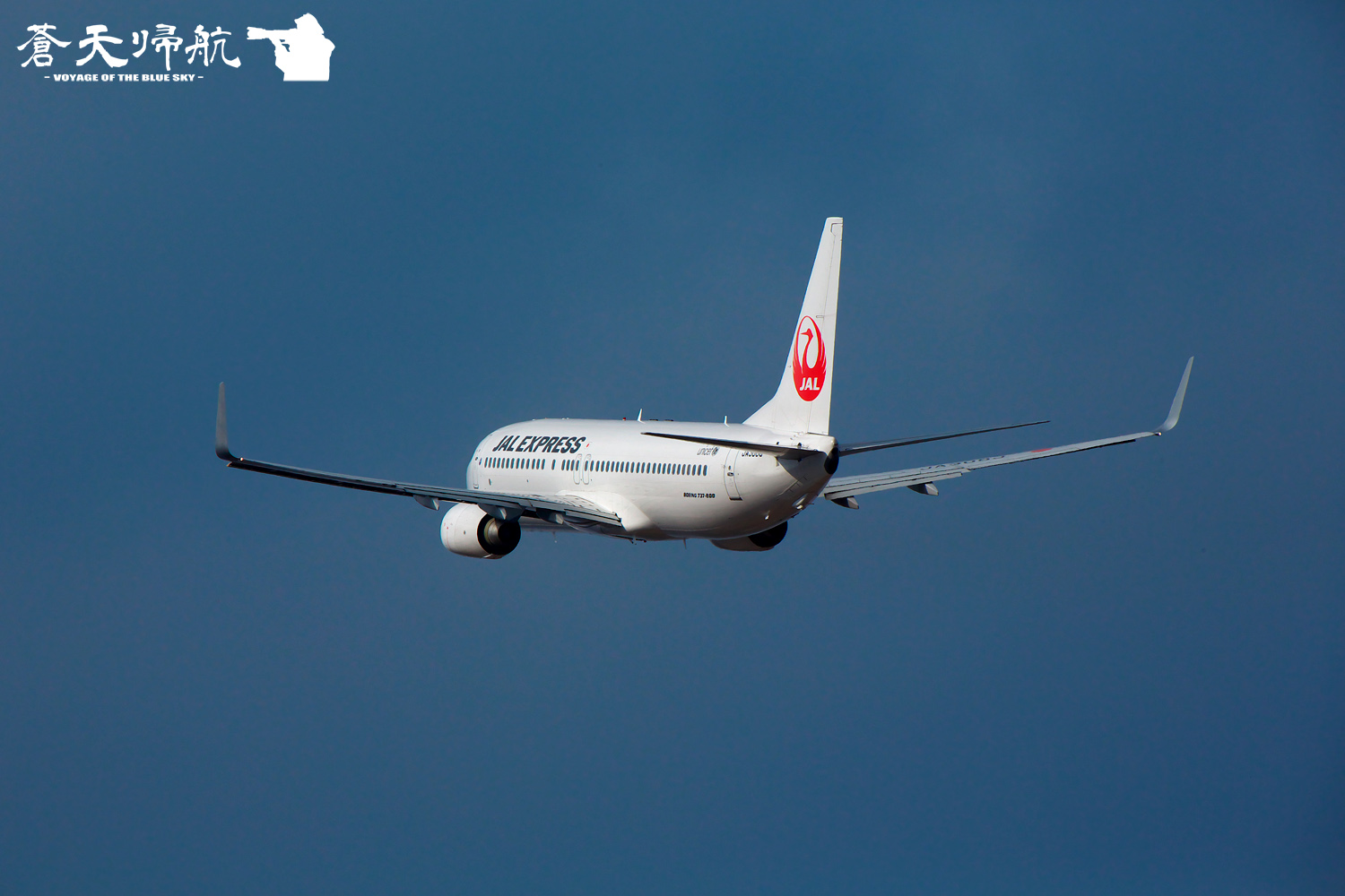 高松空港　1月11日　(最高の環境ですが・・・・）_a0290652_19392178.jpg