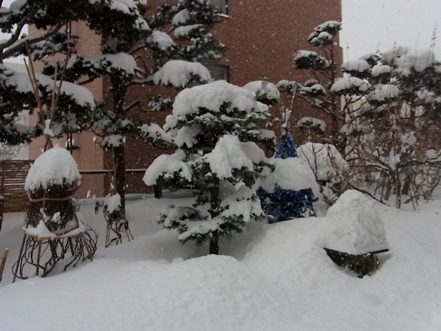 馬上杯_e0326953_120118.jpg