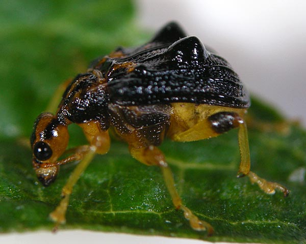 e0035757_22473473.jpg