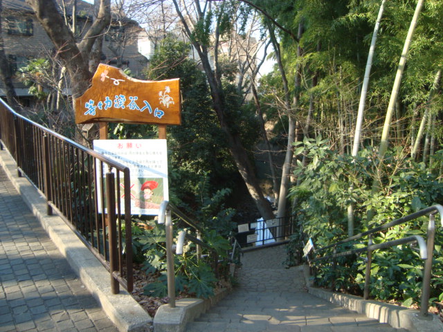 都内23区唯一の渓谷「等々力渓谷」へ行く。_f0232060_15452385.jpg