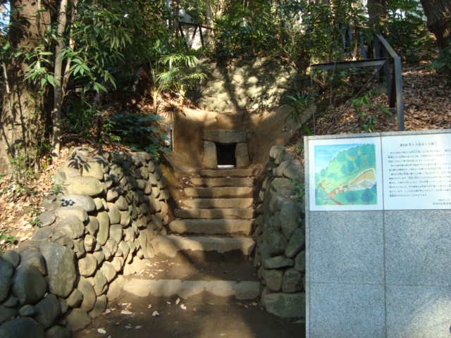 都内23区唯一の渓谷「等々力渓谷」へ行く。_f0232060_15513335.jpg