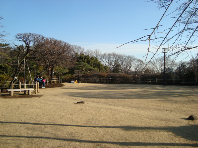 都内23区唯一の渓谷「等々力渓谷」へ行く。_f0232060_16153856.jpg
