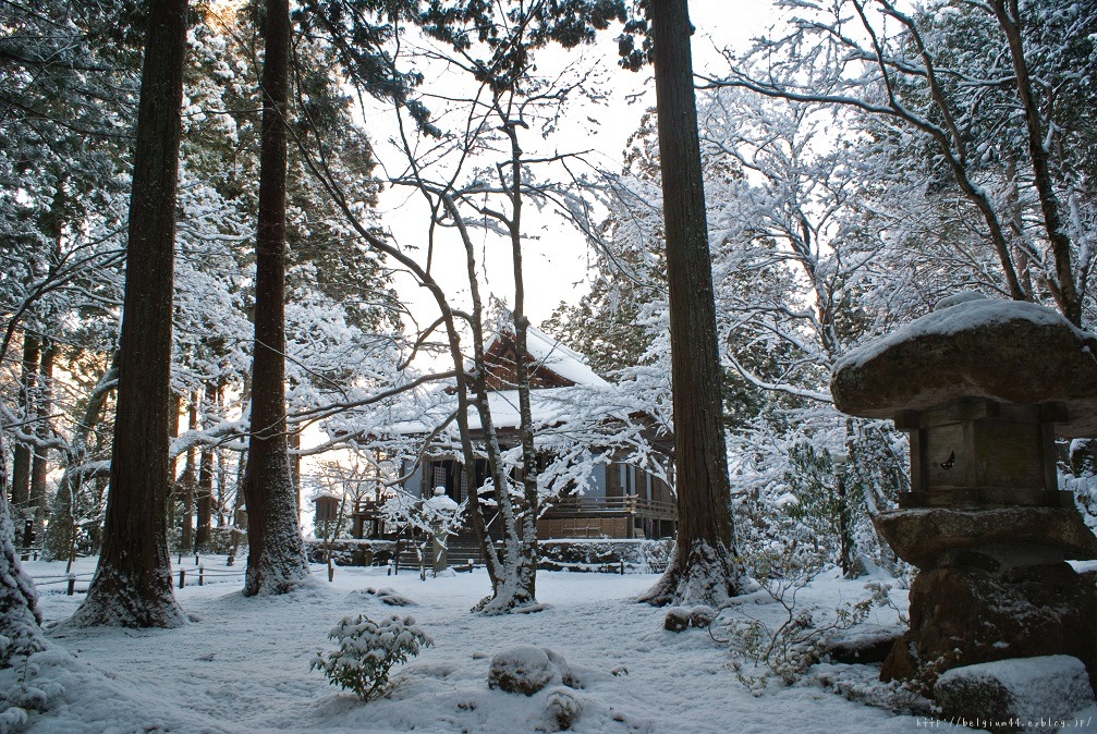 三千院の雪景色_f0102363_15261211.jpg