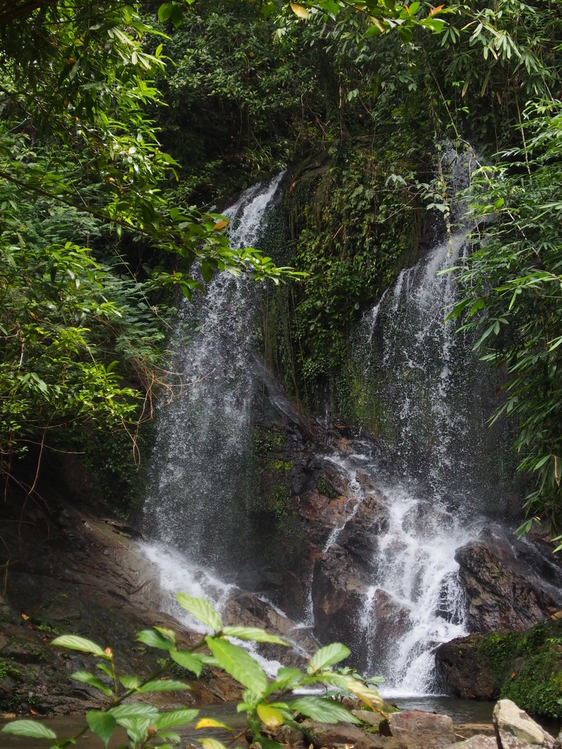 タイ研修～♪陸編_b0138768_13194511.jpg