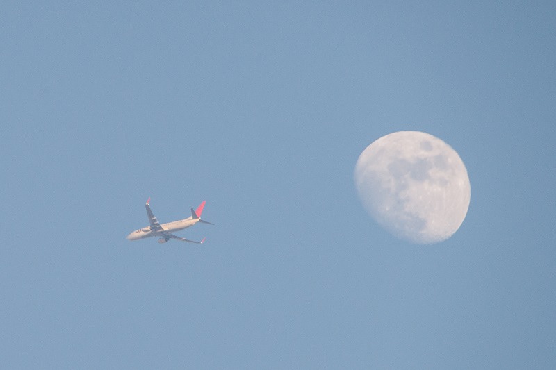 b0198768_22293790.jpg