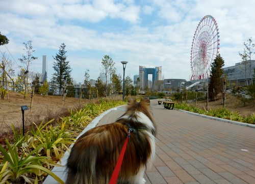 東京ベイエリアで_a0157174_14514956.jpg