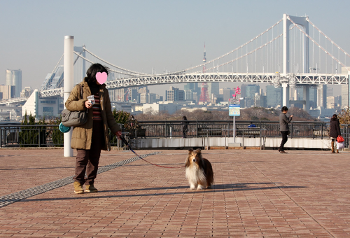 a0157174_15405133.png