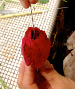 c0093674_913461.jpg