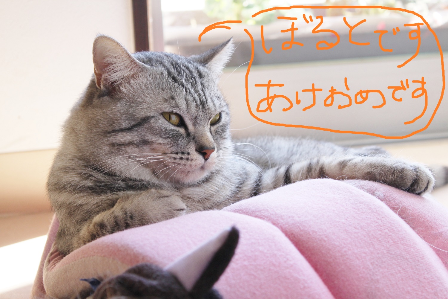 二段ベッド。_c0245679_17492751.jpg