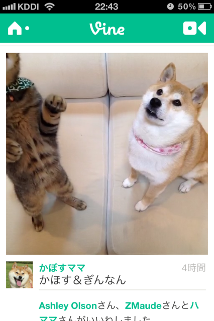 誕生日プレゼント_a0126590_21592411.png